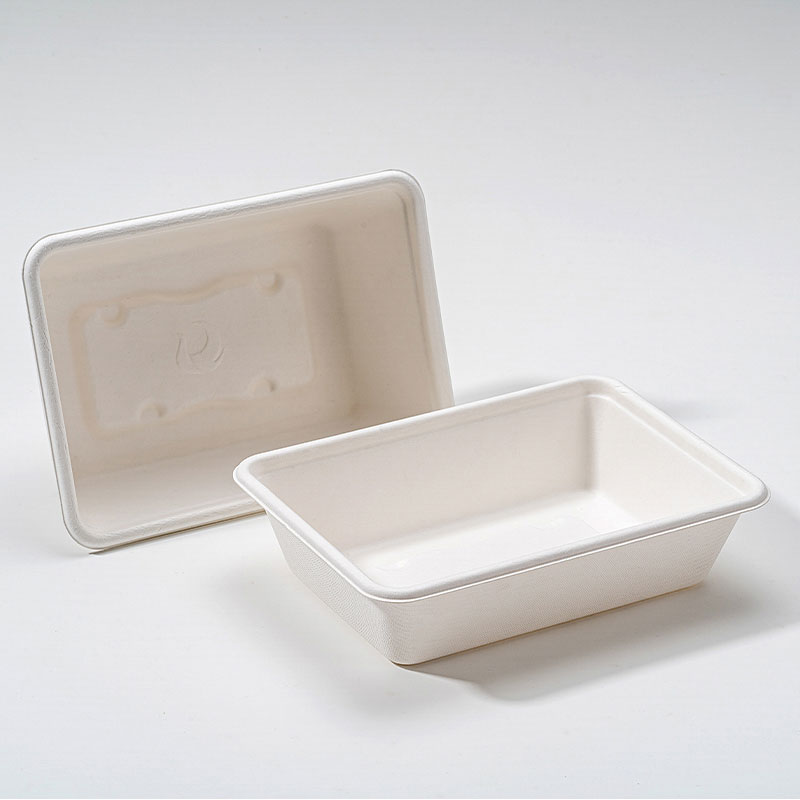 Prečo je Bagasse Square Box budúcnosťou udržateľného balenia potravín?